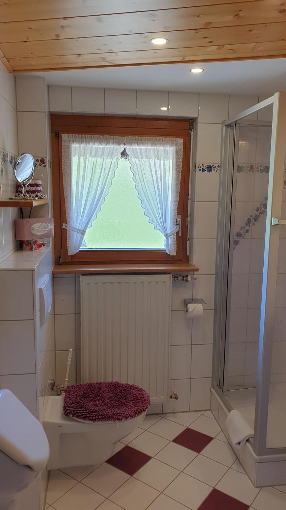 Haus Am Kreuzbuehl Apartment Dachsberg im Schwarzwald Luaran gambar