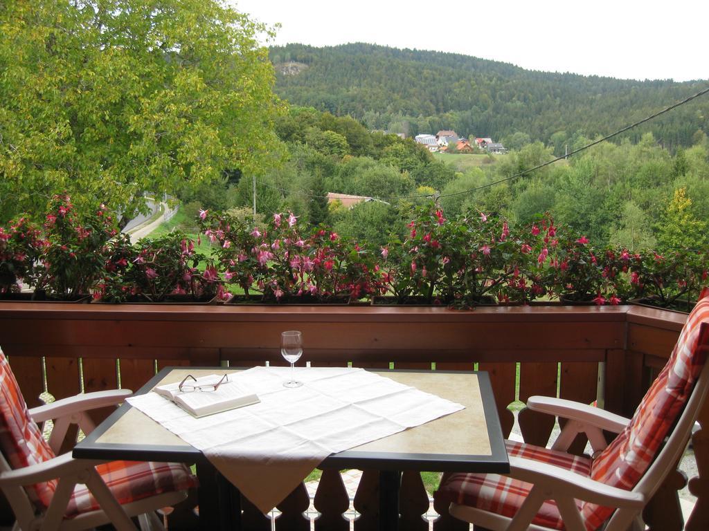 Haus Am Kreuzbuehl Apartment Dachsberg im Schwarzwald Luaran gambar