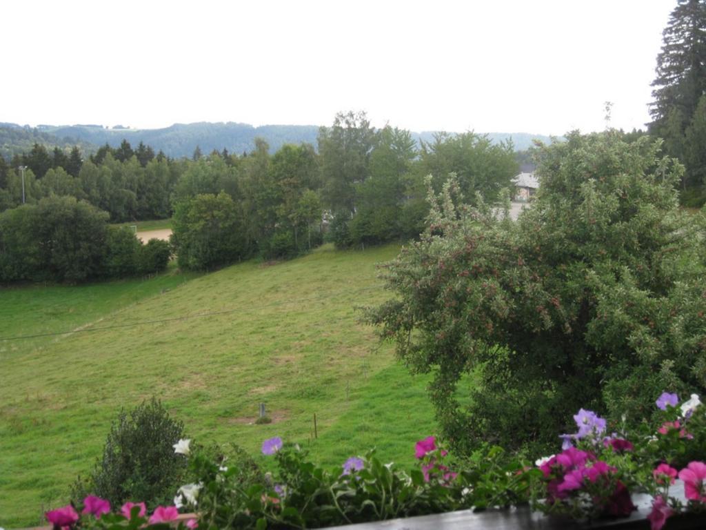 Haus Am Kreuzbuehl Apartment Dachsberg im Schwarzwald Luaran gambar