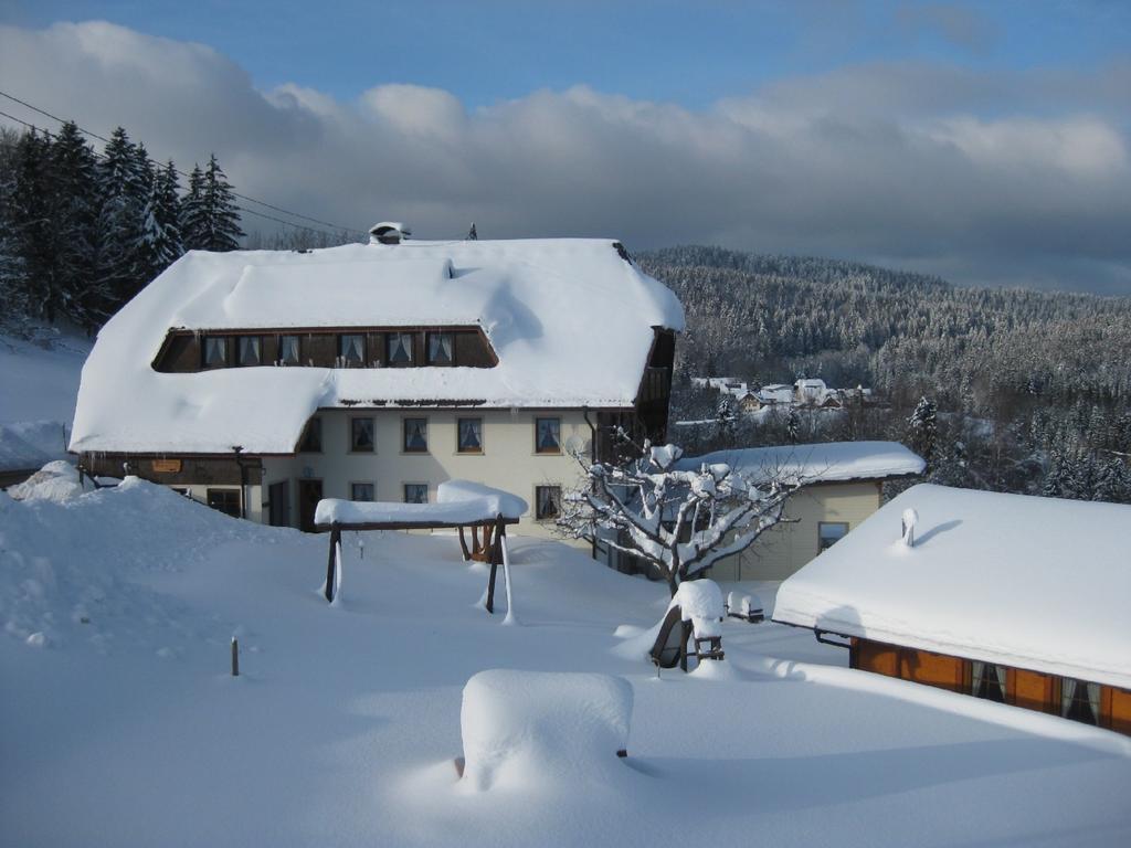 Haus Am Kreuzbuehl Apartment Dachsberg im Schwarzwald Luaran gambar