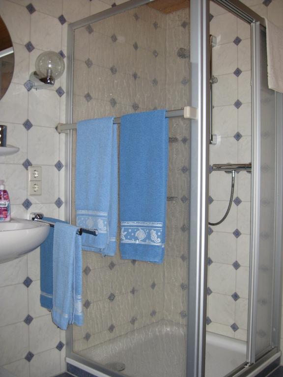 Haus Am Kreuzbuehl Apartment Dachsberg im Schwarzwald Luaran gambar
