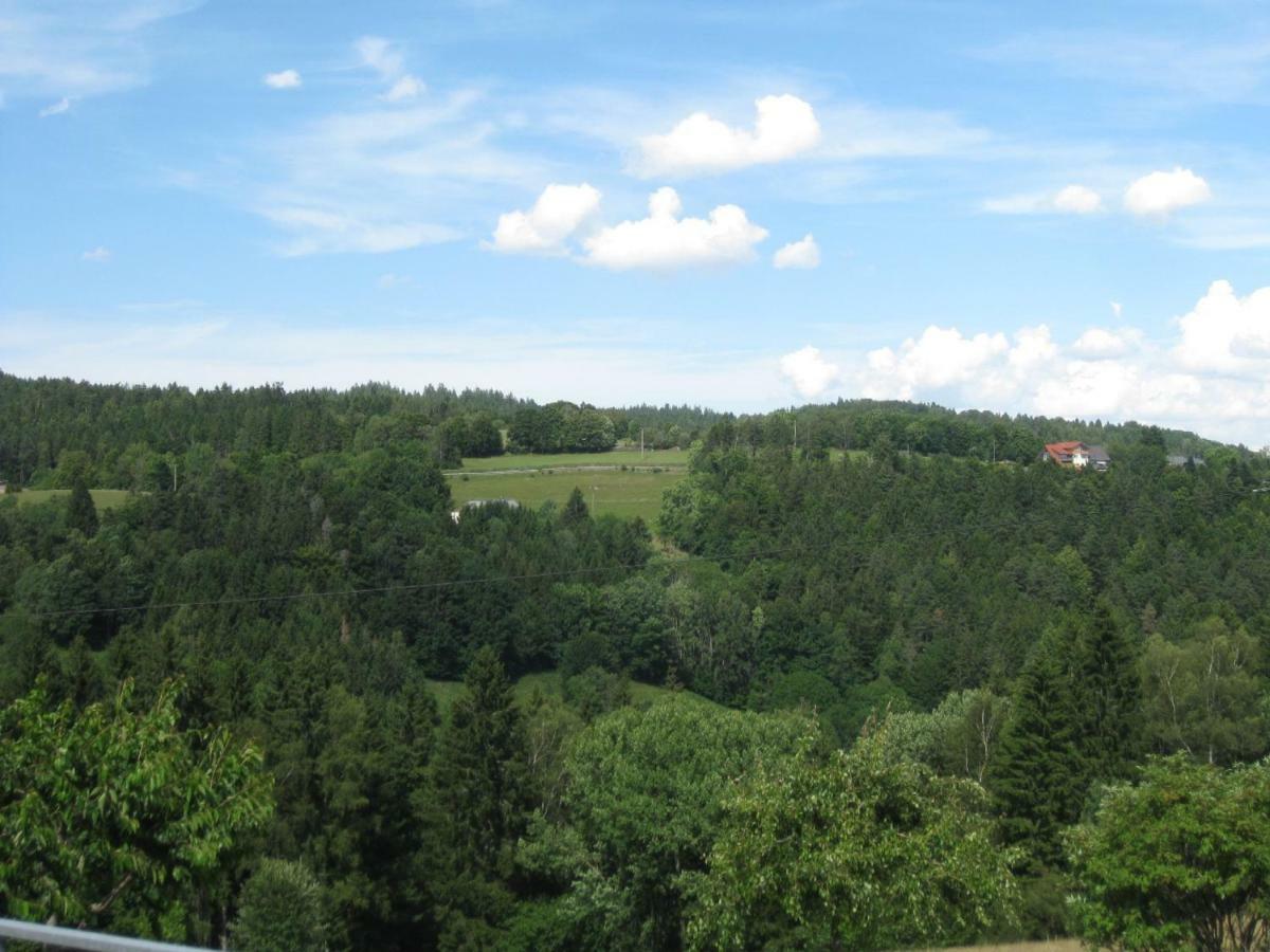 Haus Am Kreuzbuehl Apartment Dachsberg im Schwarzwald Luaran gambar